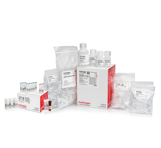 Amino Allyl MessageAmp II aRNA Amplifica